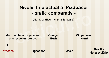 Nivelul intelectual al Pizdoacei